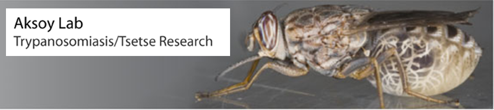 Askoy Lab Trypanosomiasis and Tsetse Research Link