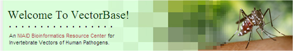 Vectorbase Link